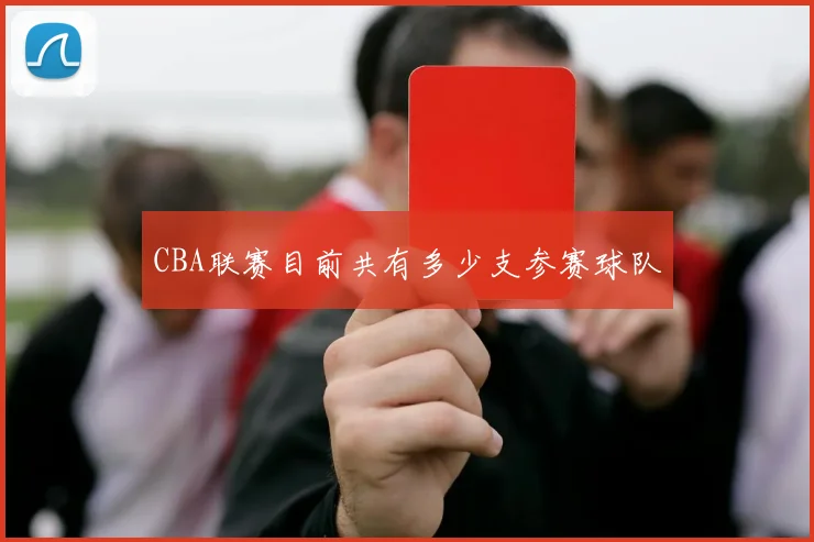 CBA联赛目前共有多少支参赛球队