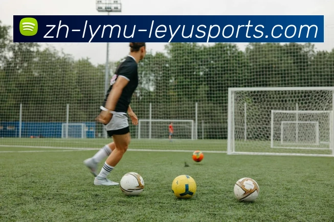 乐鱼体育品牌故事